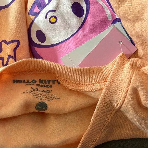 Hello Kitty & Friends Kindness Matters Graphic Sweatshirt Size 1X,2X,3X - Picture 10 of 13